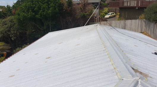 Roof Before Flaking Paint